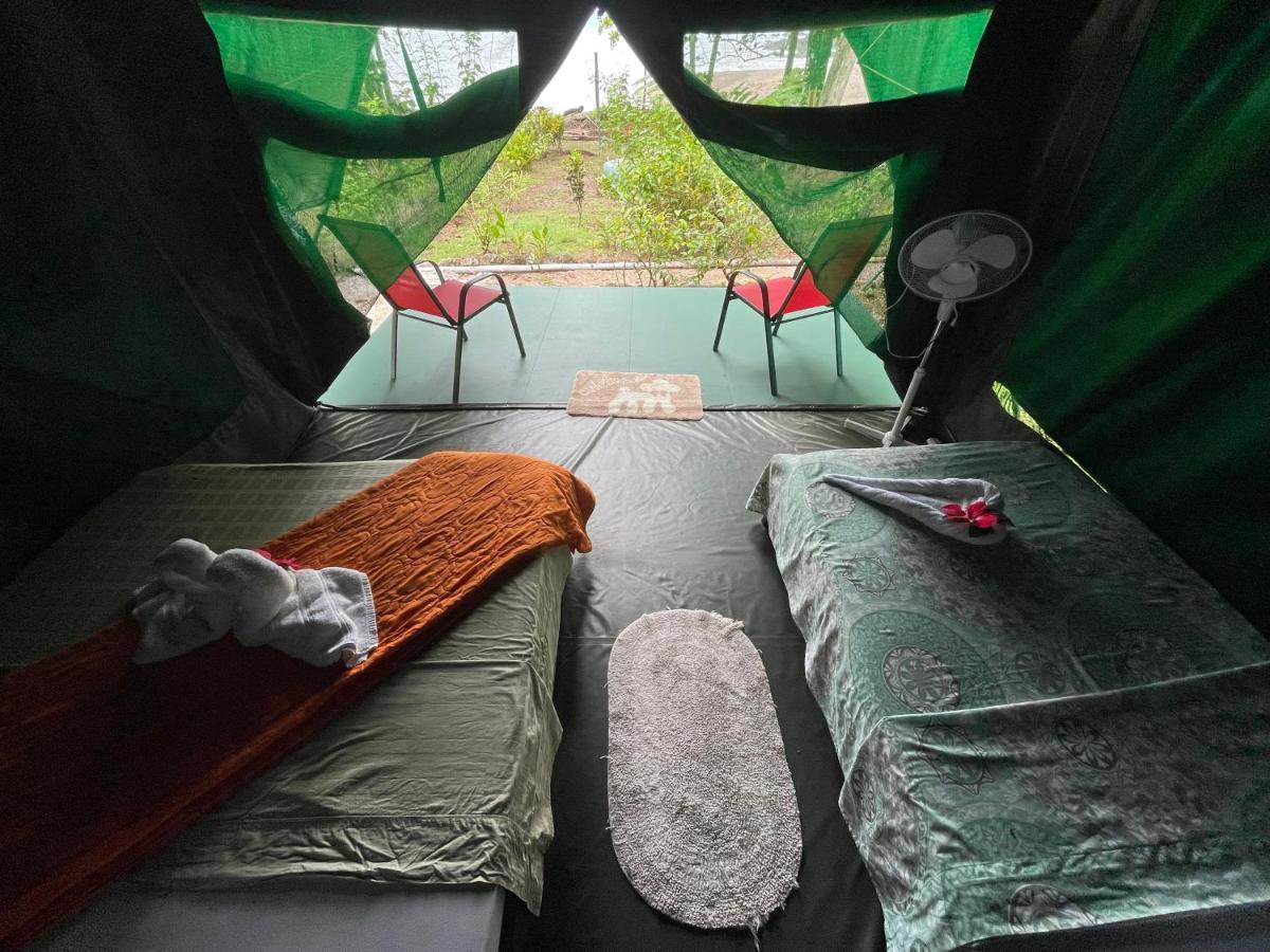 Albergue Corcovado Adventures Drakes Bay Exterior foto