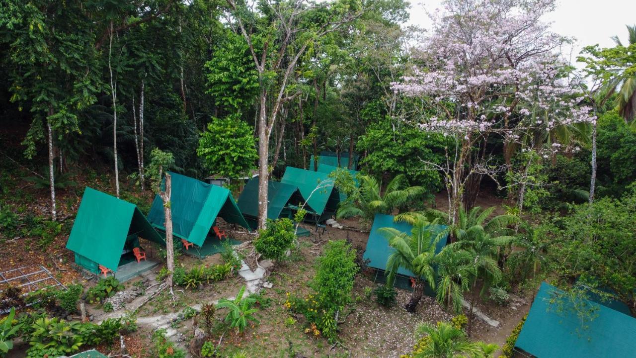 Albergue Corcovado Adventures Drakes Bay Exterior foto