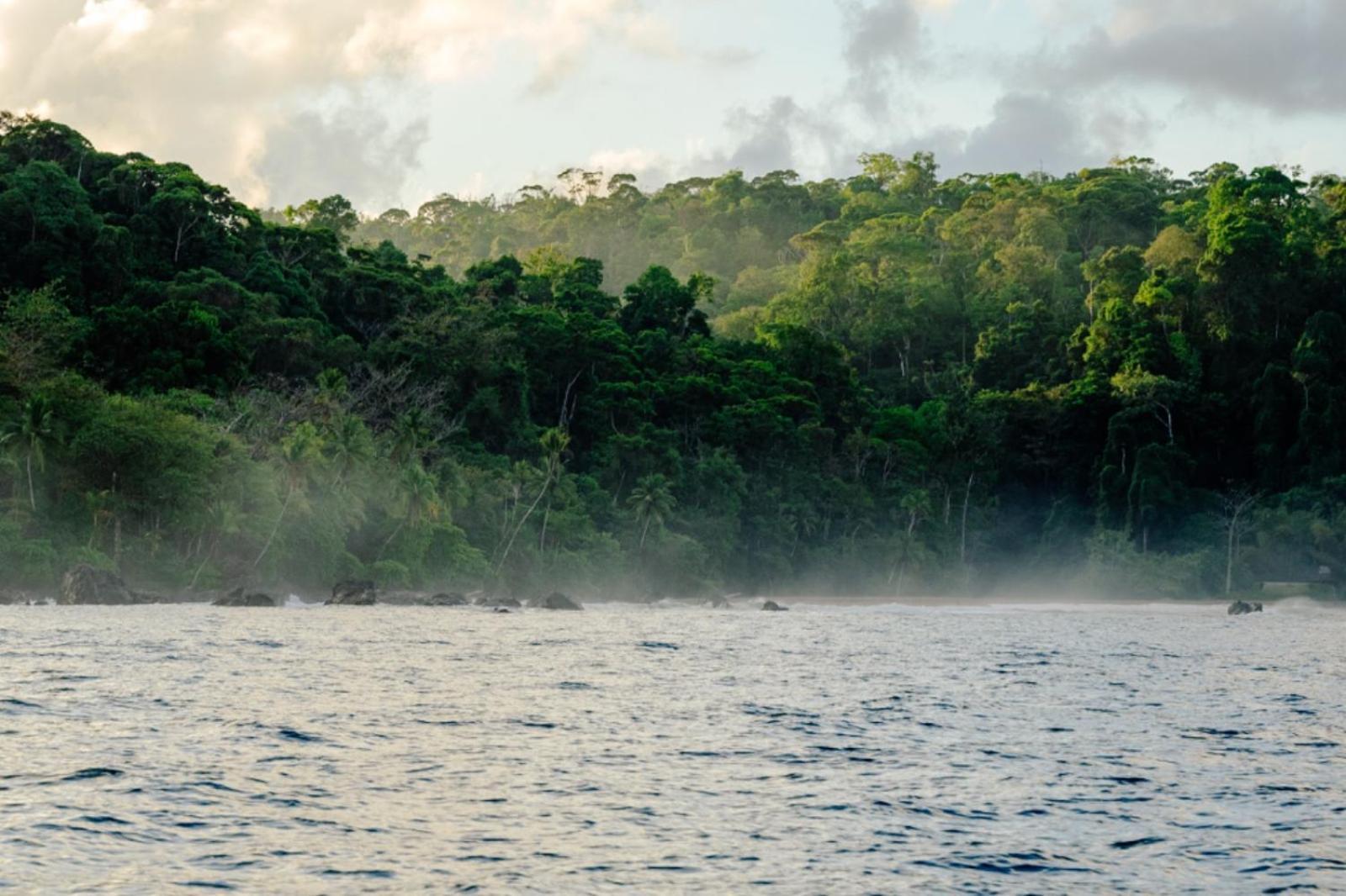 Albergue Corcovado Adventures Drakes Bay Exterior foto