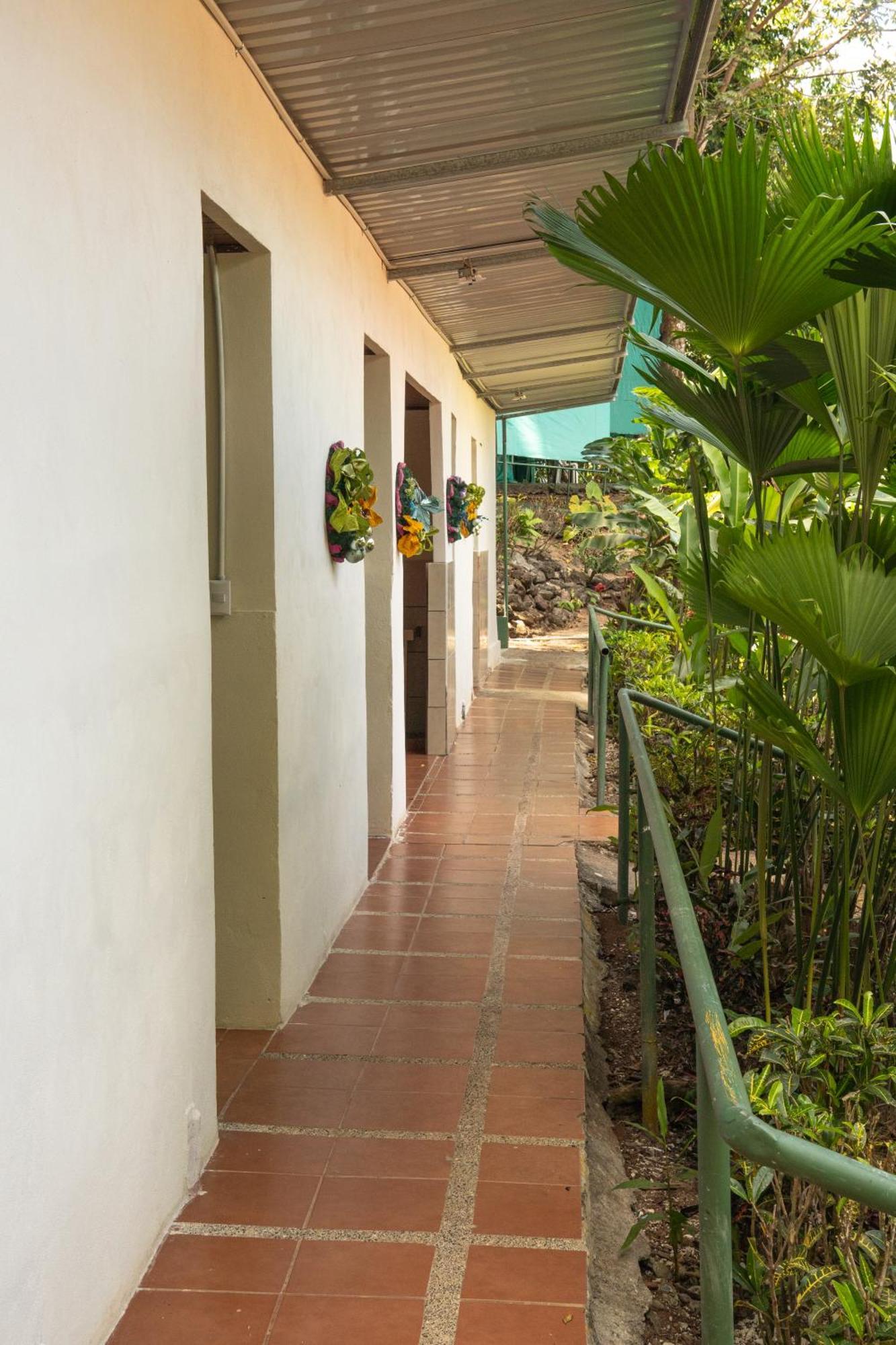 Albergue Corcovado Adventures Drakes Bay Exterior foto