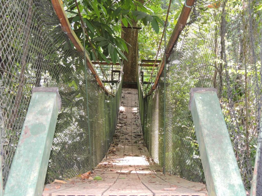 Albergue Corcovado Adventures Drakes Bay Exterior foto