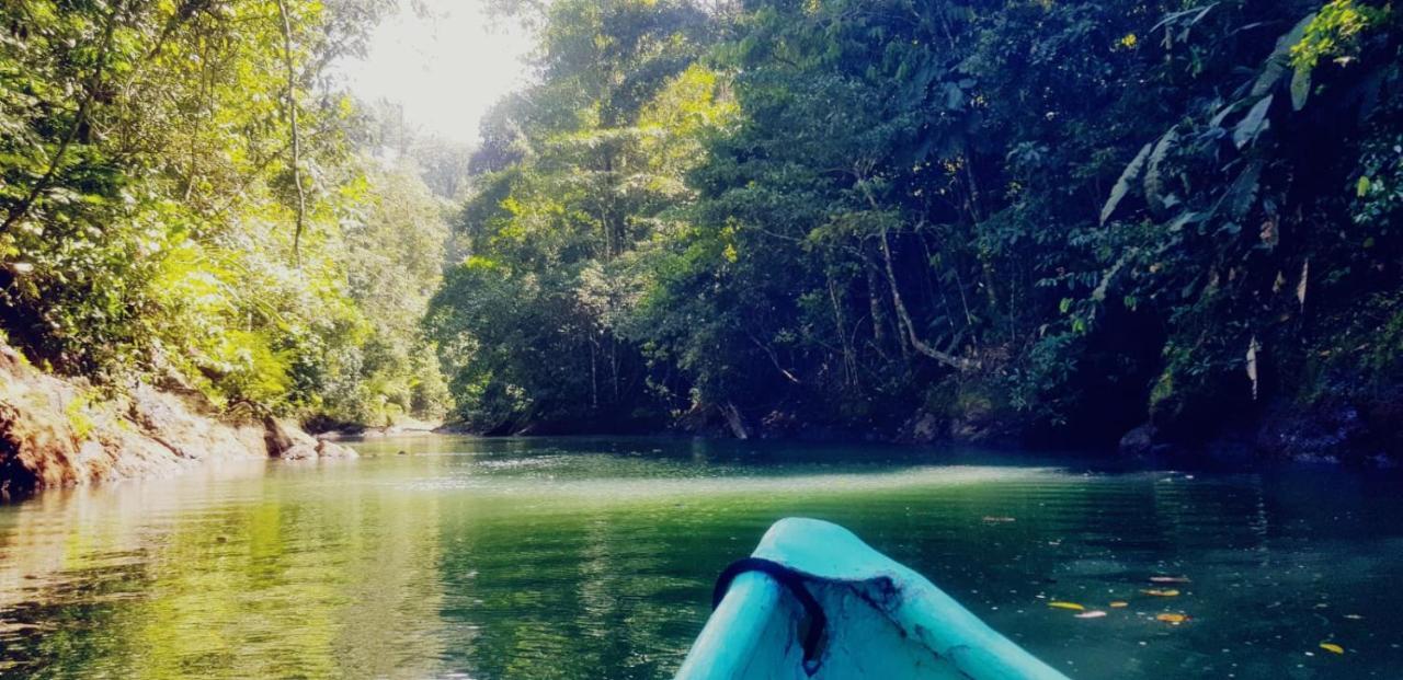 Albergue Corcovado Adventures Drakes Bay Exterior foto